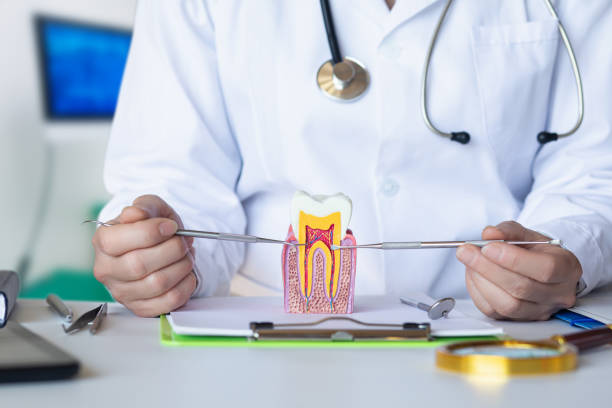 Best Emergency Treatment for Dental Infections or Abscesses in Gooding, ID